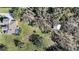 Aerial view of house, pool, and detached garage at 11518 Hammock Oaks Ct, Lithia, FL 33547