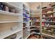 Walk-in pantry with ample shelving for storage at 11518 Hammock Oaks Ct, Lithia, FL 33547