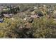 Aerial view of house and neighborhood at 2712 Mock Orange Ct, Valrico, FL 33594