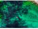 Aerial view of manatees in a crystal-clear spring at 5401 Circle Dr, Weeki Wachee, FL 34607