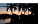Silhouetted palm trees at sunset over calm water at 7800 3Rd S Ave, St Petersburg, FL 33707