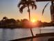 Beautiful sunset over the water, framed by palm trees and waterfront homes; an idyllic tropical scene at 7800 3Rd S Ave, St Petersburg, FL 33707