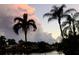 Dramatic sunset over calm water with palm trees at 7800 3Rd S Ave, St Petersburg, FL 33707
