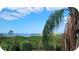 Stunning view of the water and lush landscape at 1806 Mariner Dr # 318, Tarpon Springs, FL 34689