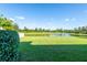 Landscaped backyard with pond view at 19510 Whispering Brook Dr, Tampa, FL 33647