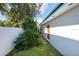Landscaped side yard with a fence and mature plants at 604 Danube Ave, Tampa, FL 33606