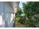 Landscaped side yard with a pathway and mature plants at 604 Danube Ave, Tampa, FL 33606