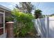Landscaped side yard with mature plants and a fence at 604 Danube Ave, Tampa, FL 33606