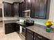 Modern kitchen with dark cabinets, granite countertops, and stainless steel appliances at 17241 Old Tobacco Rd, Lutz, FL 33558