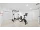 Bright basement home gym, featuring an exercise bike and weightlifting equipment at 162 E Davis Blvd, Tampa, FL 33606