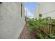 Narrow side yard with mulch path, greenery, and wooden fence at 162 E Davis Blvd, Tampa, FL 33606