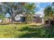 Large backyard with mature trees at 1701 Mississippi Ne Ave, St Petersburg, FL 33703