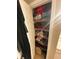Linen closet with shelving for storing towels and toiletries at 2010 E Palm Ave # 15305, Tampa, FL 33605