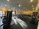 Modern gym with cardio and strength equipment at 2010 E Palm Ave # 15305, Tampa, FL 33605