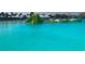 Expansive lagoon with Wibit obstacle course and aqua park at 32607 Turtle Grace Loop, Wesley Chapel, FL 33545