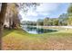 Serene pond view with lush landscaping and trees at 3529 High Hampton Cir, Tampa, FL 33610