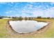 Peaceful backyard setting with a pond at 12940 Brookside Moss Dr, Riverview, FL 33579