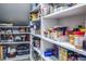 Well-organized pantry with ample shelving for food storage at 1815 Sunset Wind Loop # 118, Oldsmar, FL 34677