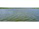 Scenic view of calm water and distant bridge at 1815 Sunset Wind Loop # 118, Oldsmar, FL 34677