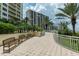 Relaxing walkway with benches and tropical plants at 1200 Gulf Blvd # 204, Clearwater Beach, FL 33767