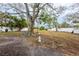 Large backyard with mature tree and grassy area at 2744 45Th S St, Gulfport, FL 33711