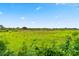 Open view of expansive backyard at 32202 Summerglade Dr, Wesley Chapel, FL 33545