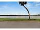 Serene waterfront view with palm tree and calm water at 611 Destiny Dr # 216, Ruskin, FL 33570