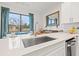 Modern kitchen with a large island and stainless steel sink, overlooking the backyard at 8709 Palm Ranches Pl, Tampa, FL 33614
