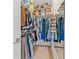 Large walk-in closet with ample hanging space and shelving at 8709 Palm Ranches Pl, Tampa, FL 33614