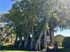 Large banyan tree with a walking bridge underneath at 130 Banyan Bay Dr, St Petersburg, FL 33705