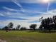 Expansive view of a serene golf course under a vibrant blue sky at 1696 Wilmar Ave, Tarpon Springs, FL 34689