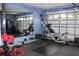 Garage converted into a home gym with various equipment at 17346 Mint Leaf Ln, Land O Lakes, FL 34638