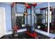 Home gym with a power rack and various weight training equipment at 17346 Mint Leaf Ln, Land O Lakes, FL 34638