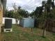Backyard with shed and palm trees at 1766 Montana Ne Ave, St Petersburg, FL 33703