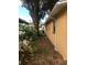 Side of house with landscaping and tree at 1766 Montana Ne Ave, St Petersburg, FL 33703