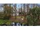 View of the home's backyard with lush trees and a pond at 19018 Geraci Rd, Lutz, FL 33548