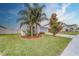 Landscaped front yard with palm trees at 3779 Copperspring Blvd, New Port Richey, FL 34653