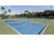 Well-maintained pickleball courts at 401 Dorchester Pl # 52, Sun City Center, FL 33573