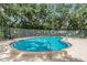 Relaxing kidney-shaped pool with lounge chairs at 6012 Laketree Ln # A, Temple Terrace, FL 33617