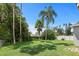 Large grassy backyard with mature palm trees at 1742 Bayshore Blvd, Dunedin, FL 34698