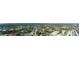 Wide shot aerial view of a neighborhood showing homes and landscape at 312 S Arrawana Ave, Tampa, FL 33609