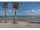 Two palm trees on a sandy beach overlooking the ocean at 706 Hickory Dr, Dunedin, FL 34698