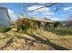 Landscaped backyard with lush greenery and garden at 8442 Lagerfeld Dr, Land O Lakes, FL 34637