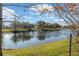 Serene lake view with lush landscaping and mature trees at 8442 Lagerfeld Dr, Land O Lakes, FL 34637