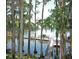 Wooden dock extending into a lake, surrounded by trees at 1700 Highland Club Ct, Palm Harbor, FL 34684