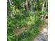 Landscaped garden with lush greenery and pathway at 19387 Hidden Oaks Dr, Brooksville, FL 34604