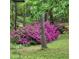 Lush landscaping with vibrant azaleas and lush greenery at 19387 Hidden Oaks Dr, Brooksville, FL 34604