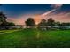Kayaks lined up on racks on grassy lawn during a tranquil sunset at 2221 Swedish Dr # 11, Clearwater, FL 33763