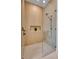 Large walk-in shower with glass enclosure and modern fixtures at 3431 Palometa Dr, Hernando Beach, FL 34607