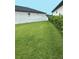 Large backyard with lush green grass and a white fence at 34432 Wynthorne Pl, Wesley Chapel, FL 33545